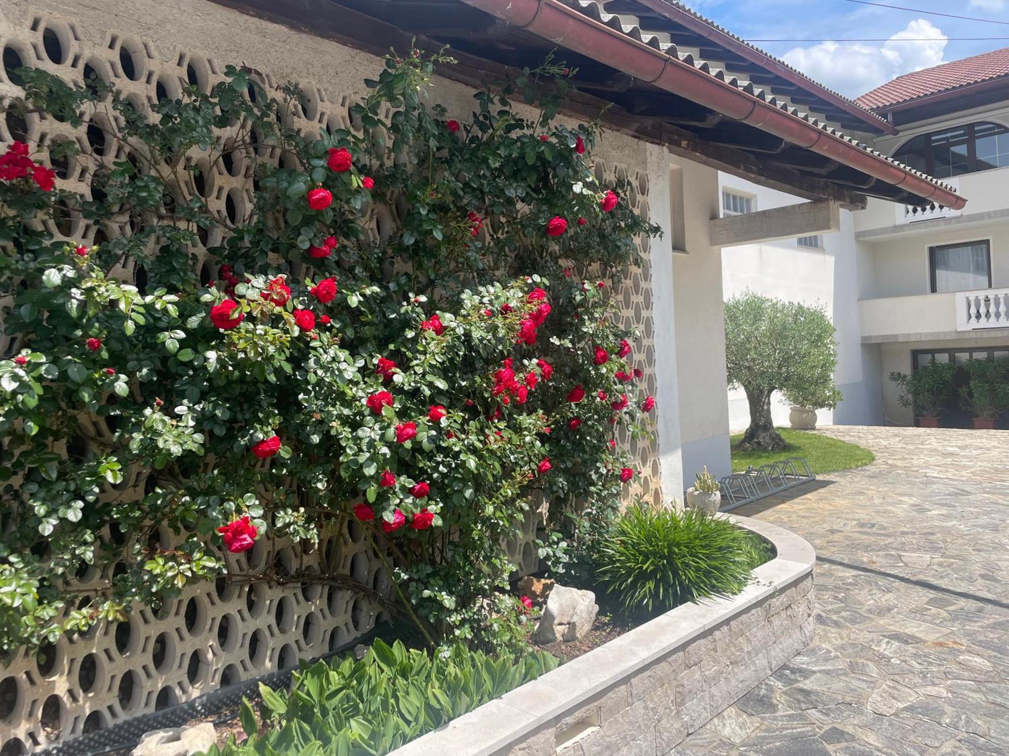Apartma Pri Cesarjevih Sežana Buitenkant foto